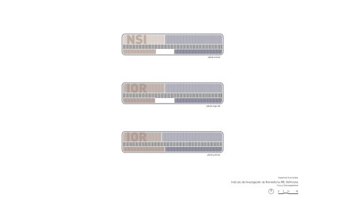 Instituto-Investigacion-Biomedicina-Bellinzona_CYO_Cruz-y-Ortiz-Arquitectos_50-esquemas-funcionales-1